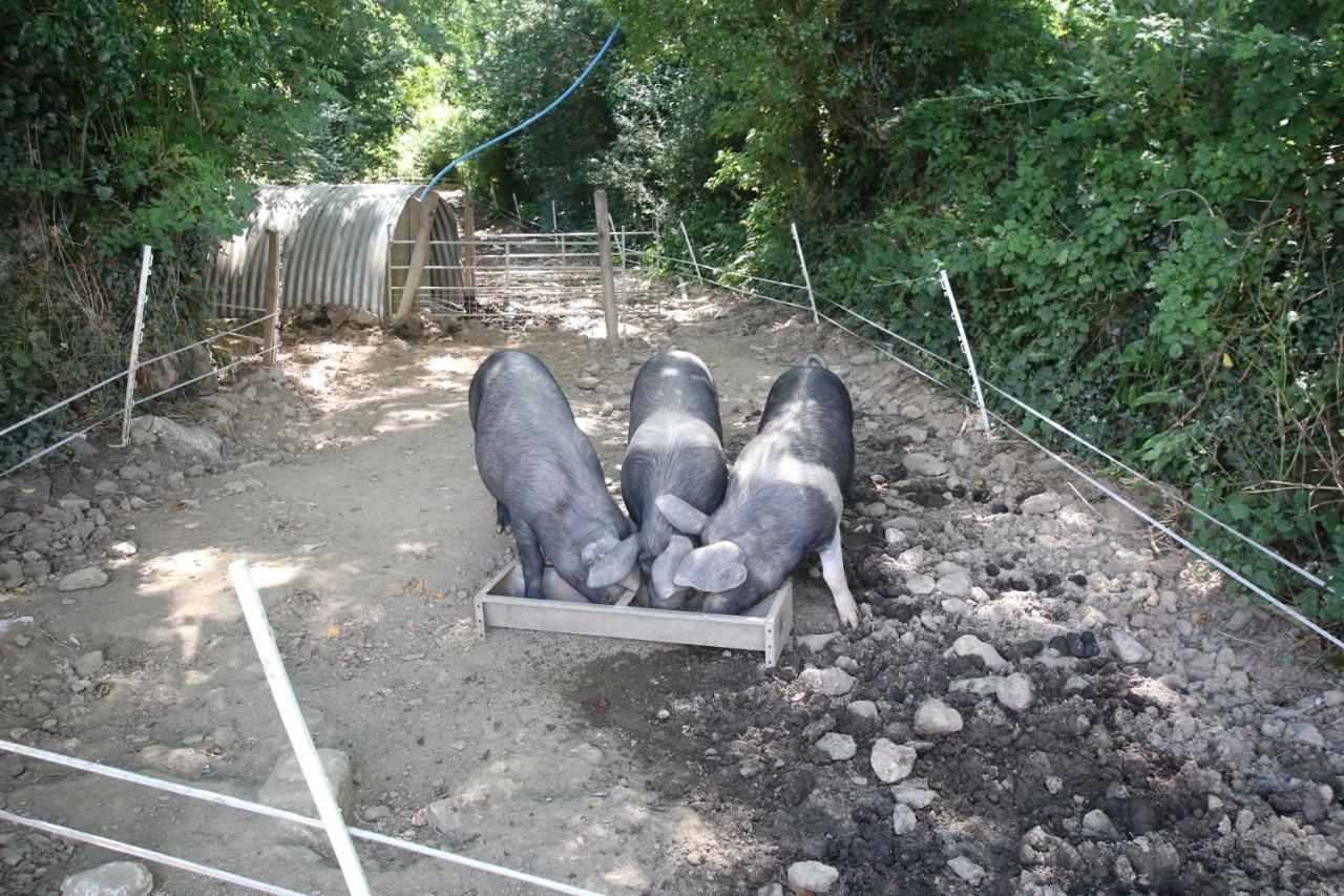 Chy Un Lur Rural Cottage Truro Eksteriør bilde